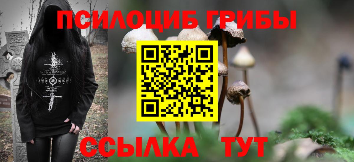 Псилоцибиновые грибы Magic Shrooms  Вход с VPN  Псилоцибиновые грибы Cubensis  Иваново 