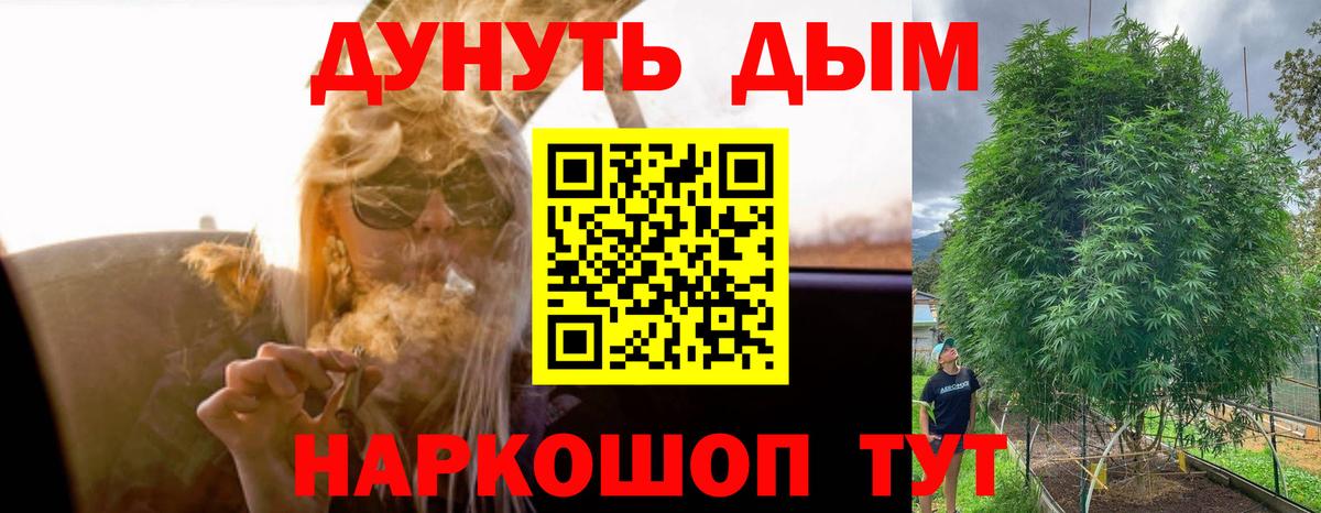 Каннабис конопля Иваново